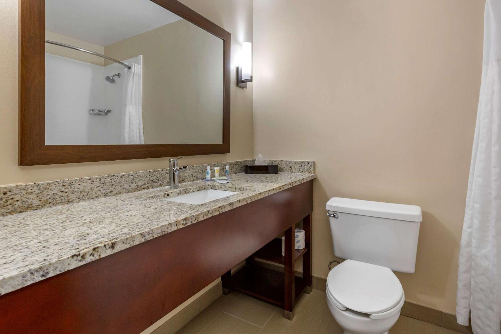Comfort Hotel